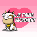 je tm vachmen