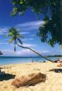 la martinique