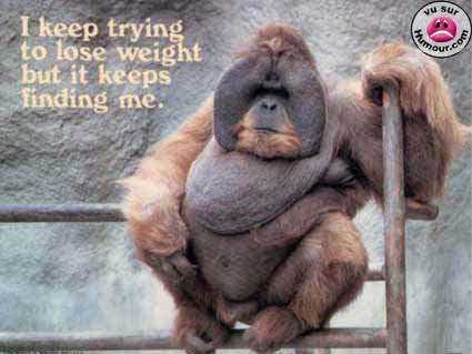 singe
