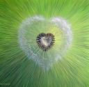 coeur