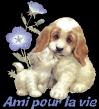 amis pour la vie