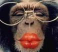 singe...