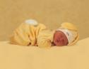 bébé