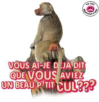 ?????