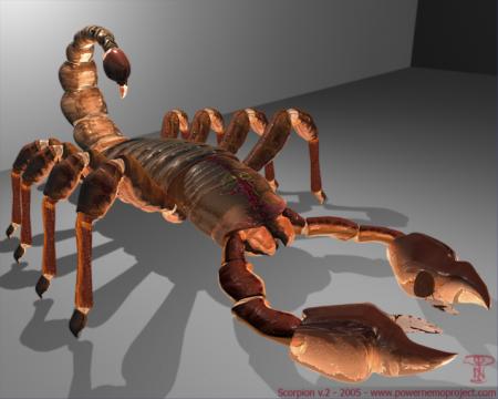 scorpion