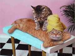 un peti massage ??