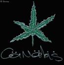 canabis