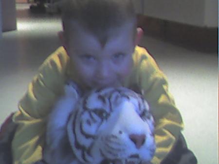 tony et son ti tigre  lol
