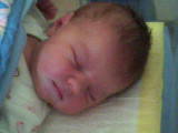 lylou